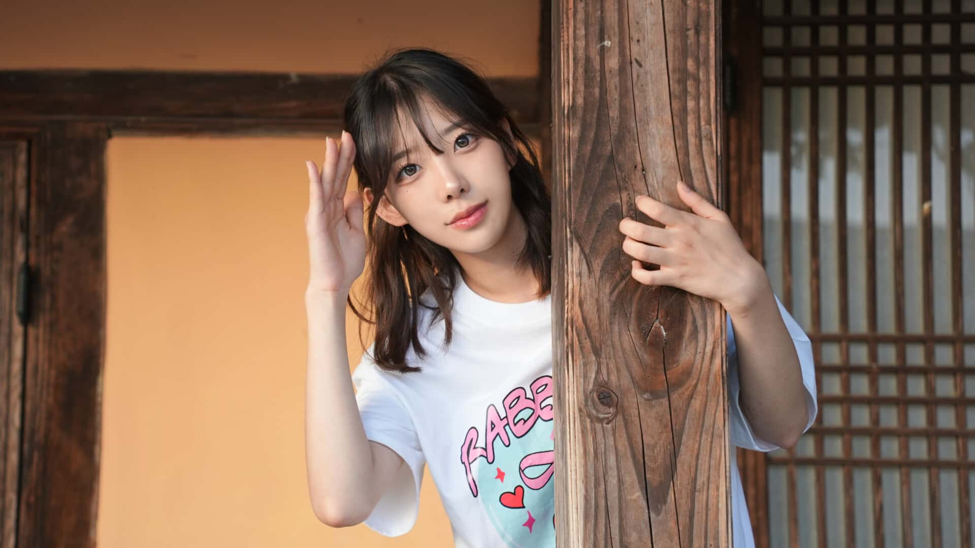 视觉数据5